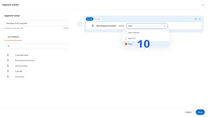 How_to_Create_Wordego_Audiences_in_Criteo_(3840x2160)_6