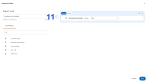 How_to_Create_Wordego_Audiences_in_Criteo_(3840x2160)_7