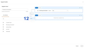 How_to_Create_Wordego_Audiences_in_Criteo_(3840x2160)_8