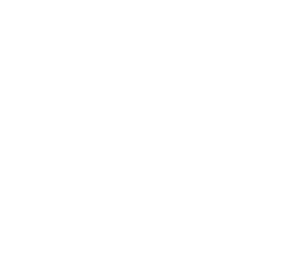 Wordego_Customers_(400x339)_FDM